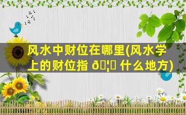 风水中财位在哪里(风水学上的财位指 🦈 什么地方)